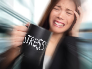 Stress - business person stressed at office. Business woman hold